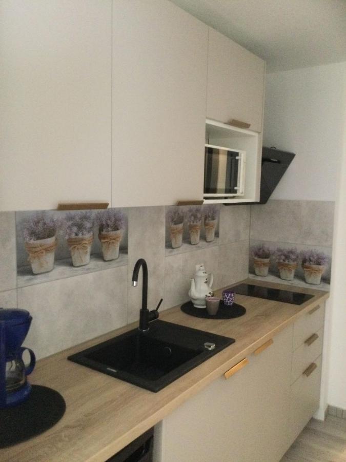 Ferienwohnung Avila , Stadtmitte Karpacz Exterior foto