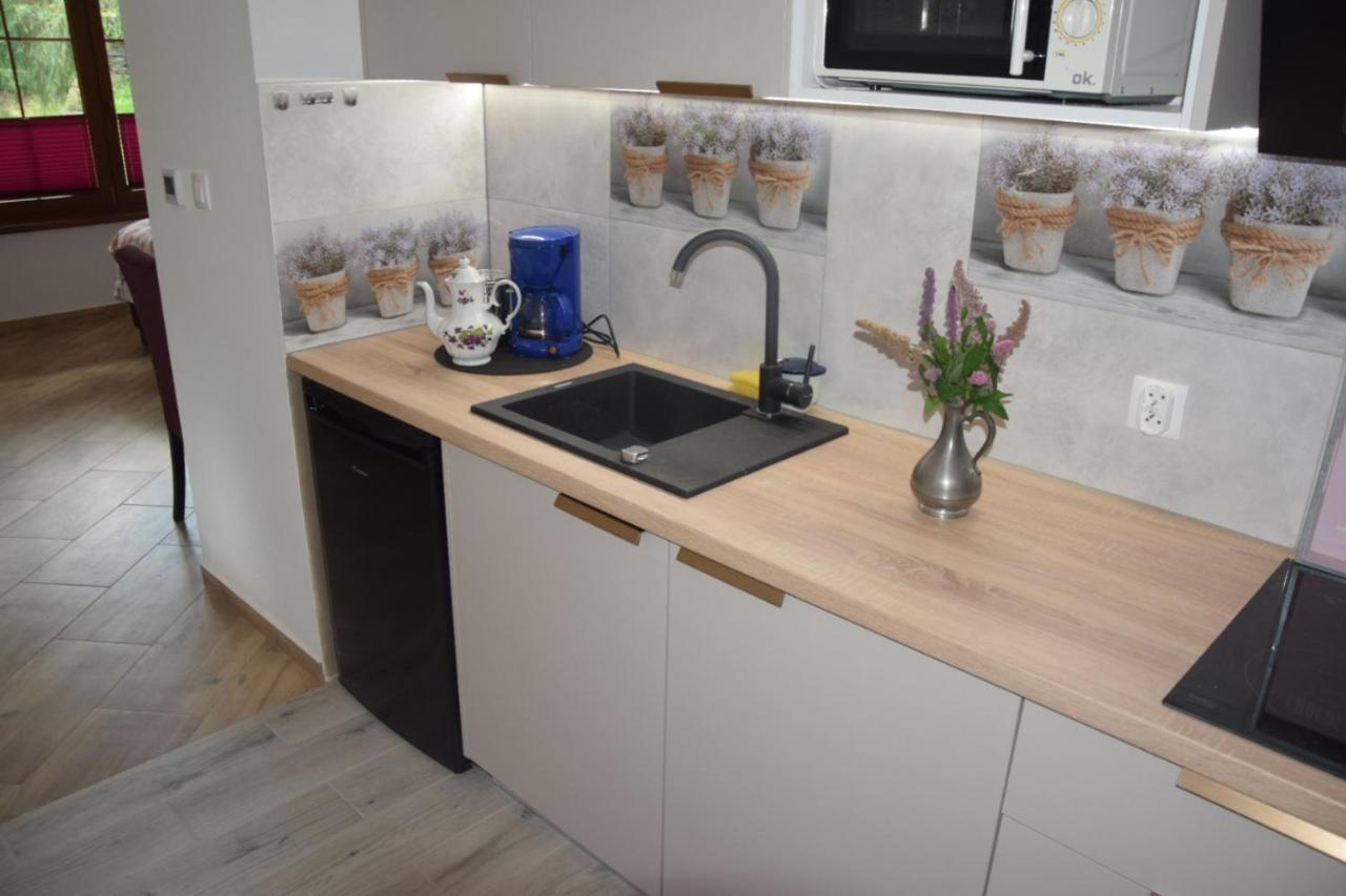 Ferienwohnung Avila , Stadtmitte Karpacz Exterior foto
